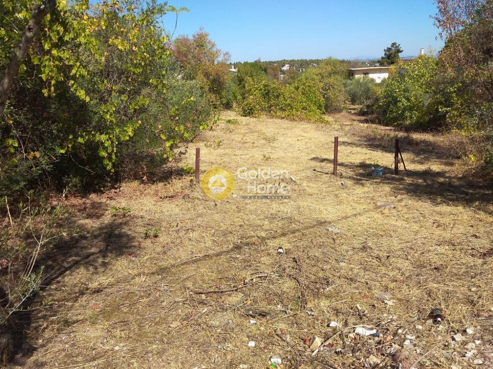 Οικόπεδο 3.400 τ.μ. προς πώληση, Αθήνα - Βόρεια Προάστια, Σταμάτα