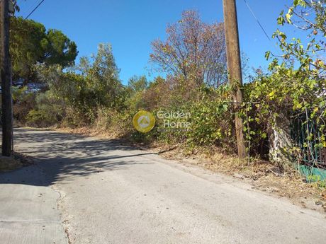 Οικόπεδο 3.400 τ.μ. για πώληση