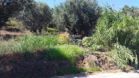 Οικόπεδο 260τ.μ. για πώληση-Ερίνεο » Λαμπίρι
