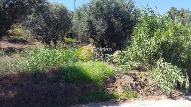 Οικόπεδο 260 τ.μ. για πώληση, Αχαΐα, Ερίνεο