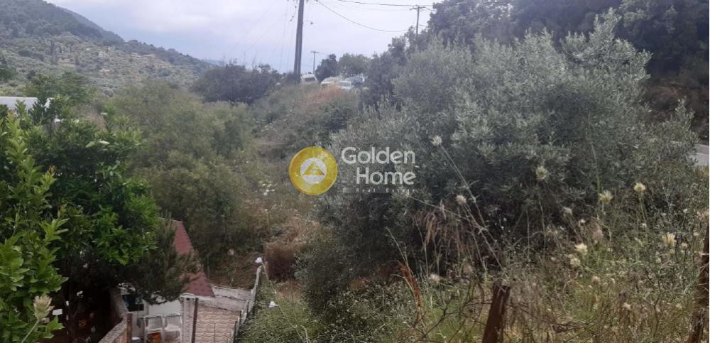 Οικόπεδο 223 τ.μ. προς πώληση, Σποράδες, Σκόπελος