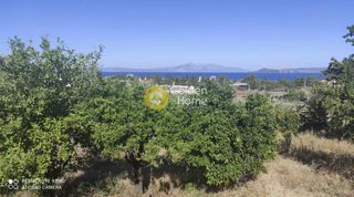 Οικόπεδο 2.250 τ.μ. για πώληση