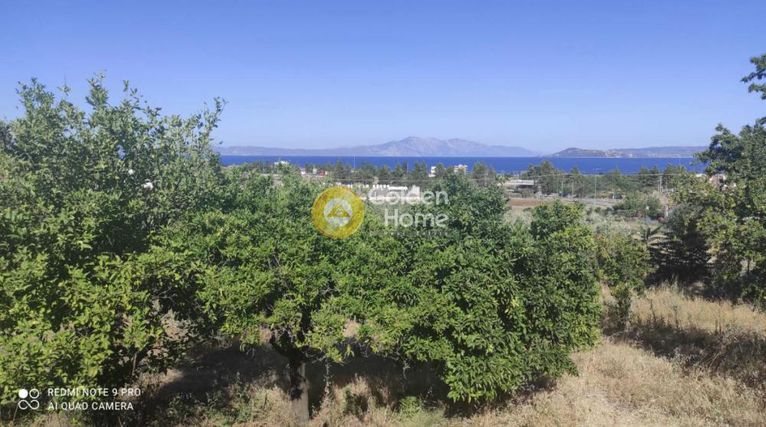 Οικόπεδο 2.250 τ.μ. για πώληση, Φθιώτιδας, Δαφνούσες