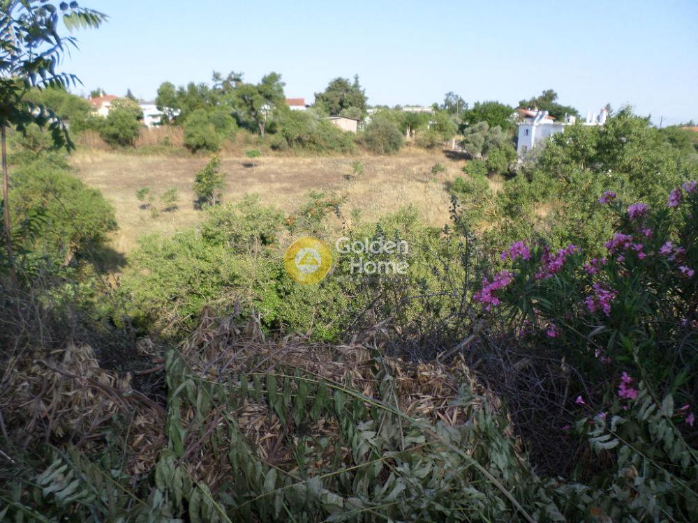 Αγροτεμάχια 4.875 τ.μ. προς πώληση, Περαία Θερμαϊκού