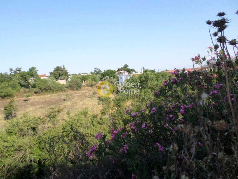 Αγροτεμάχια 4.875 τ.μ. προς πώληση, Περαία Θερμαϊκού