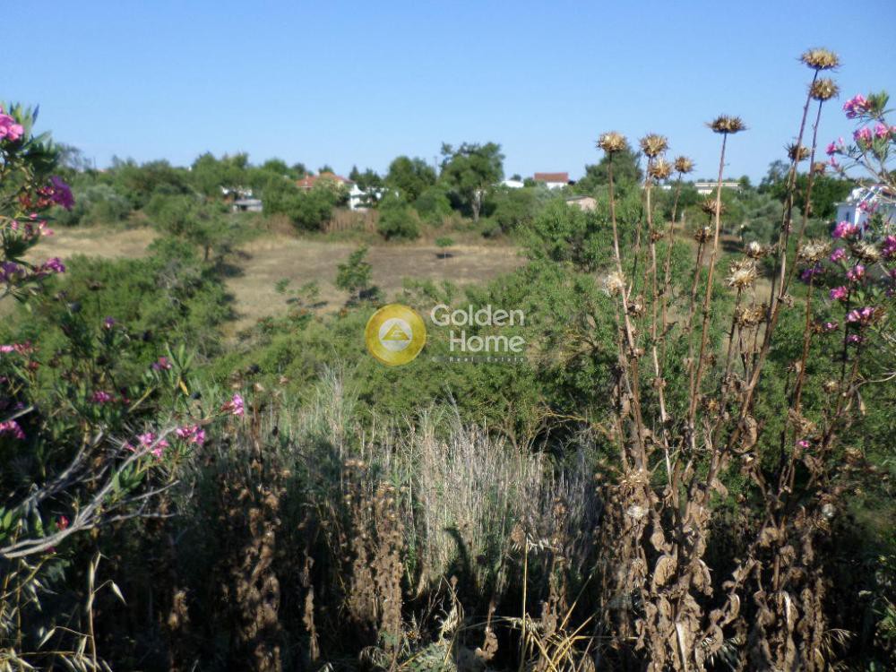 Αγροτεμάχια 4.875 τ.μ. προς πώληση, Περαία Θερμαϊκού