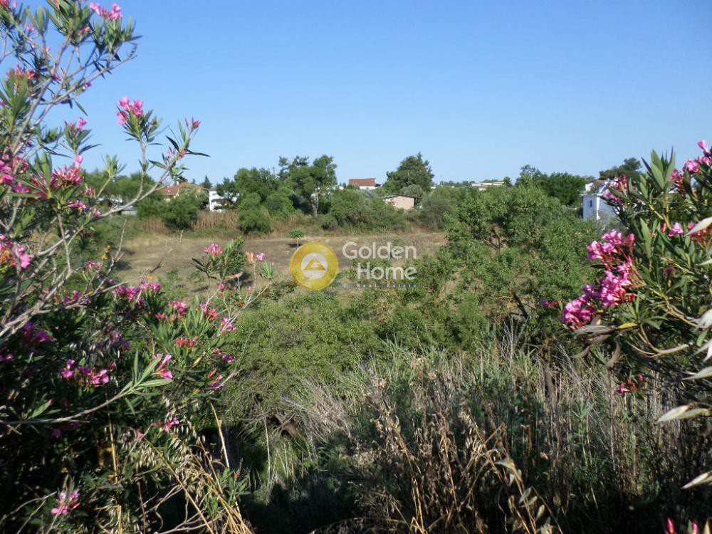 Αγροτεμάχια 4.875 τ.μ. προς πώληση, Περαία Θερμαϊκού