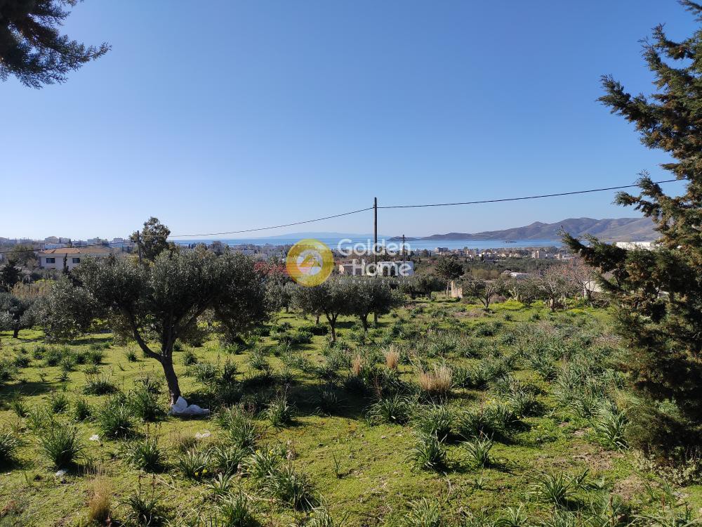 Οικόπεδο 1.030 τ.μ. προς πώληση, Εύβοια, Κάρυστος