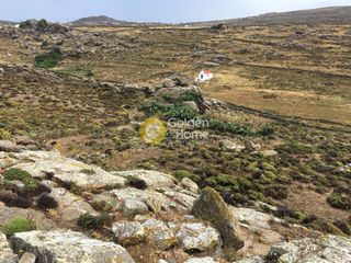 Οικόπεδο 15.300 τ.μ. προς πώληση, Πλιντρί-thumb-4