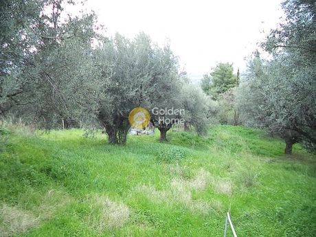 Parcel 1.400sqm for sale-Aigio » Foniskaria