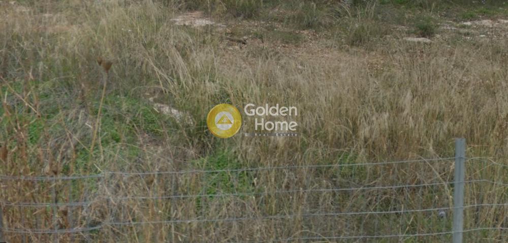 Οικόπεδο 221 τ.μ. προς πώληση, Αθήνα - Ανατολικά Προάστια, Αρτέμιδα (λούτσα)