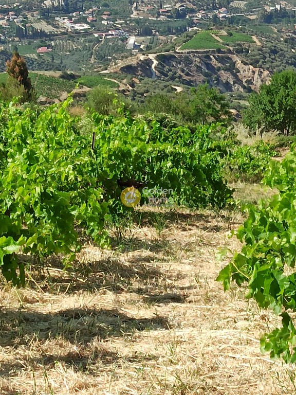 Αγροτεμάχια 1.800 τ.μ. προς πώληση, Ζεμενό Ξυλοκάστρου