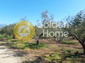 Land plot 4.500sqm for sale-Moires » Petrokefali