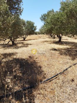 Parcel 2.000sqm for sale-Arkalochori » Roussochoria