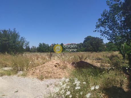 Οικόπεδο 4.016 τ.μ. για πώληση
