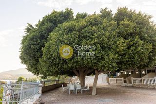Ξενοδοχείο 513 τ.μ. για πώληση, Μεσσηνία, Κορώνη-thumb-25