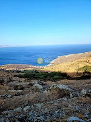 Αγροτεμάχια 7.120 τ.μ. για πώληση