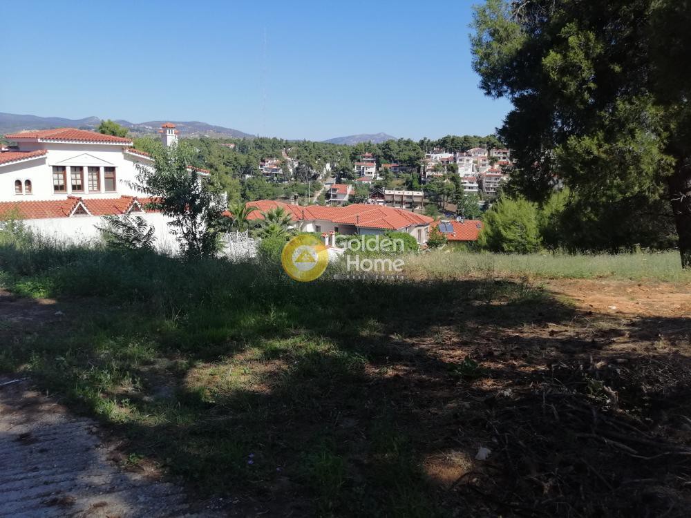 Οικόπεδο 850 τ.μ. προς πώληση, Αττική - Υπόλοιπο, Ωρωπός