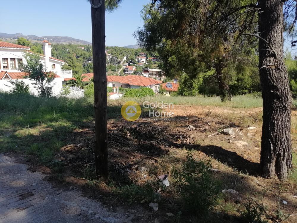 Οικόπεδο 850 τ.μ. προς πώληση, Αττική - Υπόλοιπο, Ωρωπός