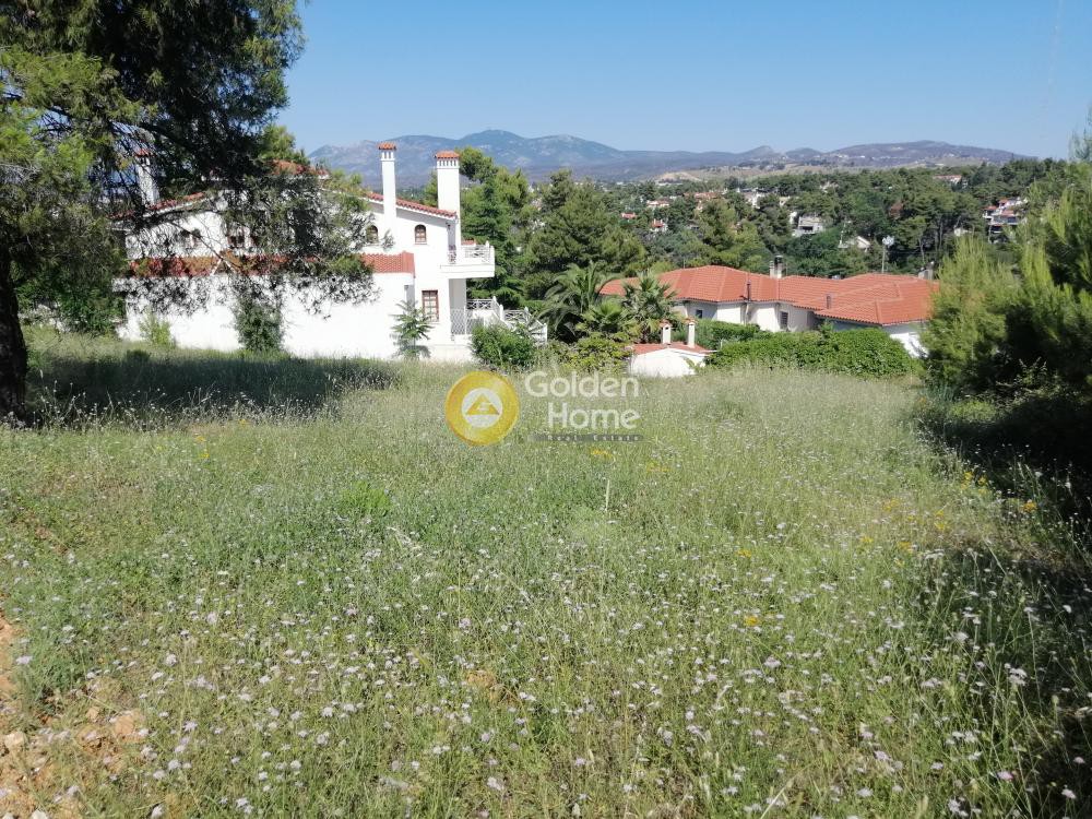 Οικόπεδο 850 τ.μ. προς πώληση, Αττική - Υπόλοιπο, Ωρωπός