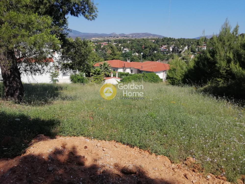 Οικόπεδο 850 τ.μ. προς πώληση, Αττική - Υπόλοιπο, Ωρωπός