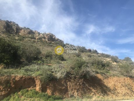 Parcel 10.300sqm for sale-North Kinouria » Lileika