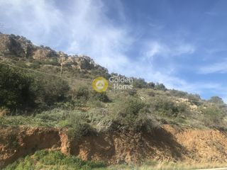 Αγροτεμάχια 10.300 τ.μ. για πώληση