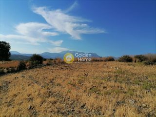Οικόπεδο 4.400 τ.μ. για πώληση, Ν. Ηρακλείου, Τυμπάκι-thumb-15