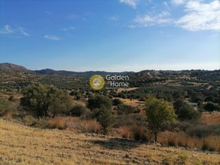 Οικόπεδο 4.400 τ.μ. για πώληση, Ν. Ηρακλείου, Τυμπάκι-thumb-9