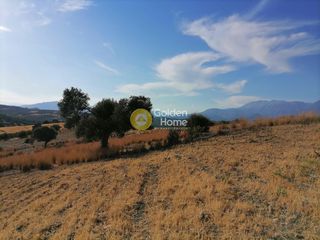 Οικόπεδο 4.400 τ.μ. για πώληση, Ν. Ηρακλείου, Τυμπάκι-thumb-14