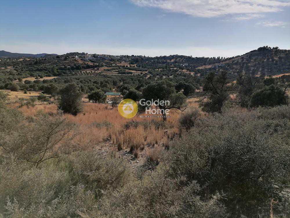 Οικόπεδο 4.400 τ.μ. προς πώληση, Ν. Ηρακλείου, Τυμπάκι