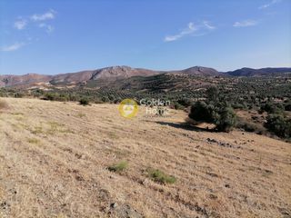 Οικόπεδο 4.400 τ.μ. για πώληση, Ν. Ηρακλείου, Τυμπάκι-thumb-13