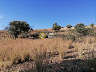 Οικόπεδο 4.400 τ.μ. για πώληση, Ν. Ηρακλείου, Τυμπάκι-thumb-3