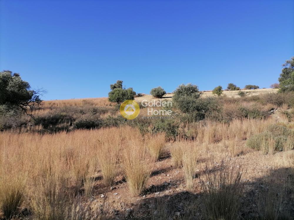 Οικόπεδο 4.400 τ.μ. προς πώληση, Ν. Ηρακλείου, Τυμπάκι