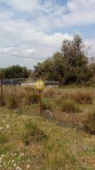 Οικόπεδο 2.238 τ.μ. για πώληση