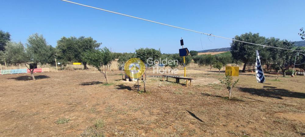 Αγροτεμάχια 30.000 τ.μ. προς πώληση, Θωμέικα Ωλένιας