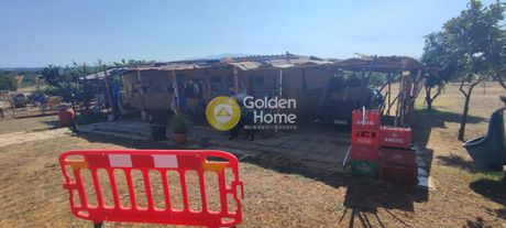Parcel 30.000sqm for sale-Olenia » Thomeika