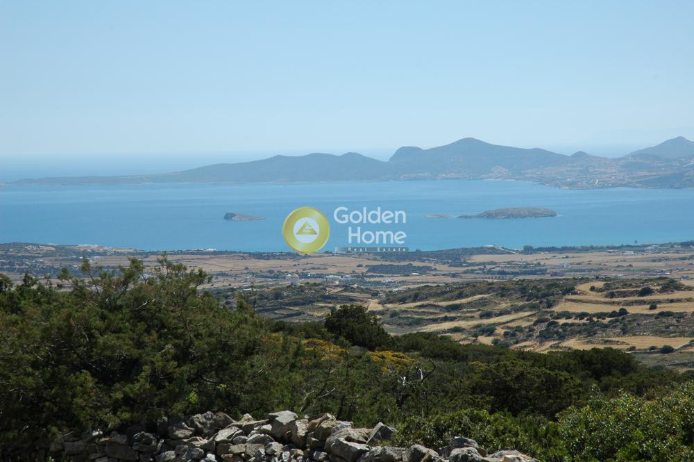 Αγροτεμάχια 33.122 τ.μ. προς πώληση, Παροικιά