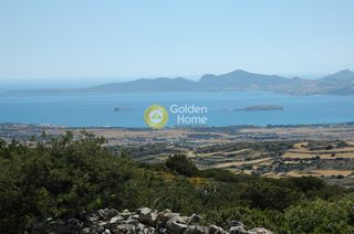 Αγροτεμάχια 33.122 τ.μ. για πώληση