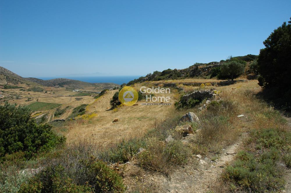 Αγροτεμάχια 33.122 τ.μ. προς πώληση, Παροικιά