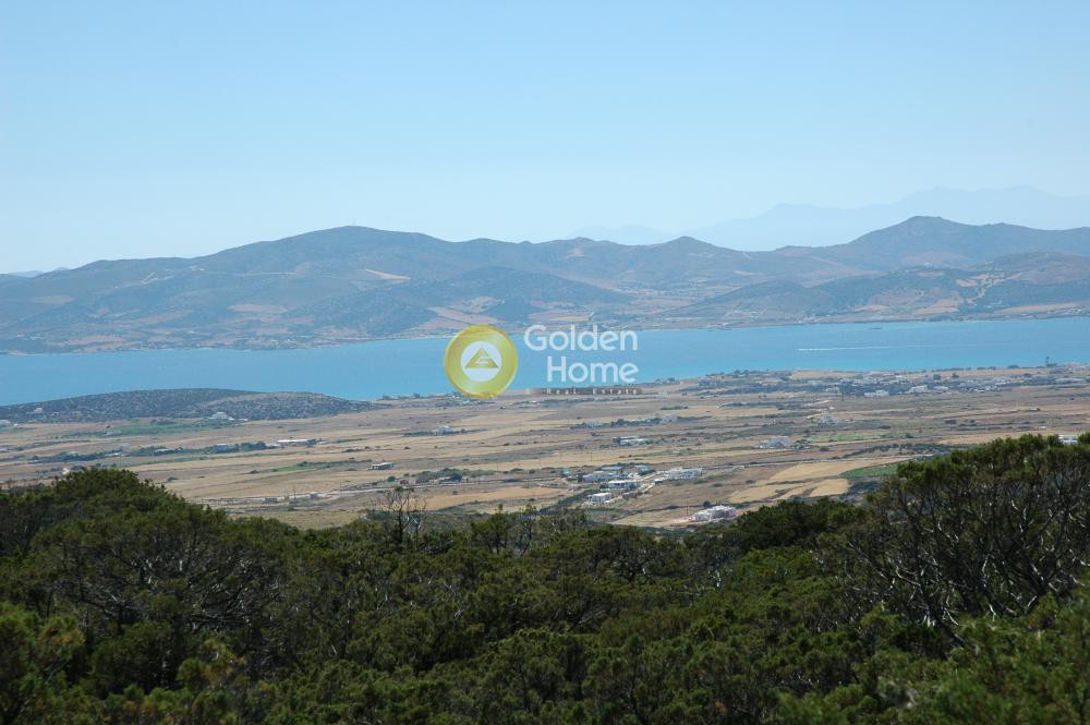 Αγροτεμάχια 33.122 τ.μ. προς πώληση, Παροικιά