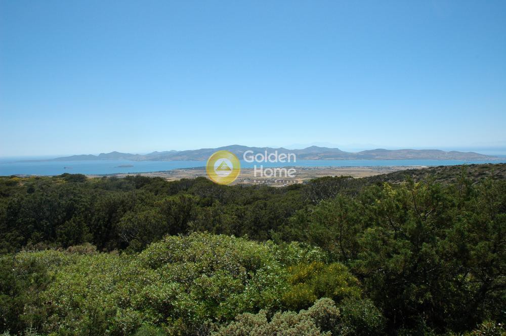 Αγροτεμάχια 33.122 τ.μ. προς πώληση, Παροικιά