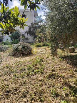 Land plot 729sqm for sale-Artemida (Loutsa) » Kataskinosis