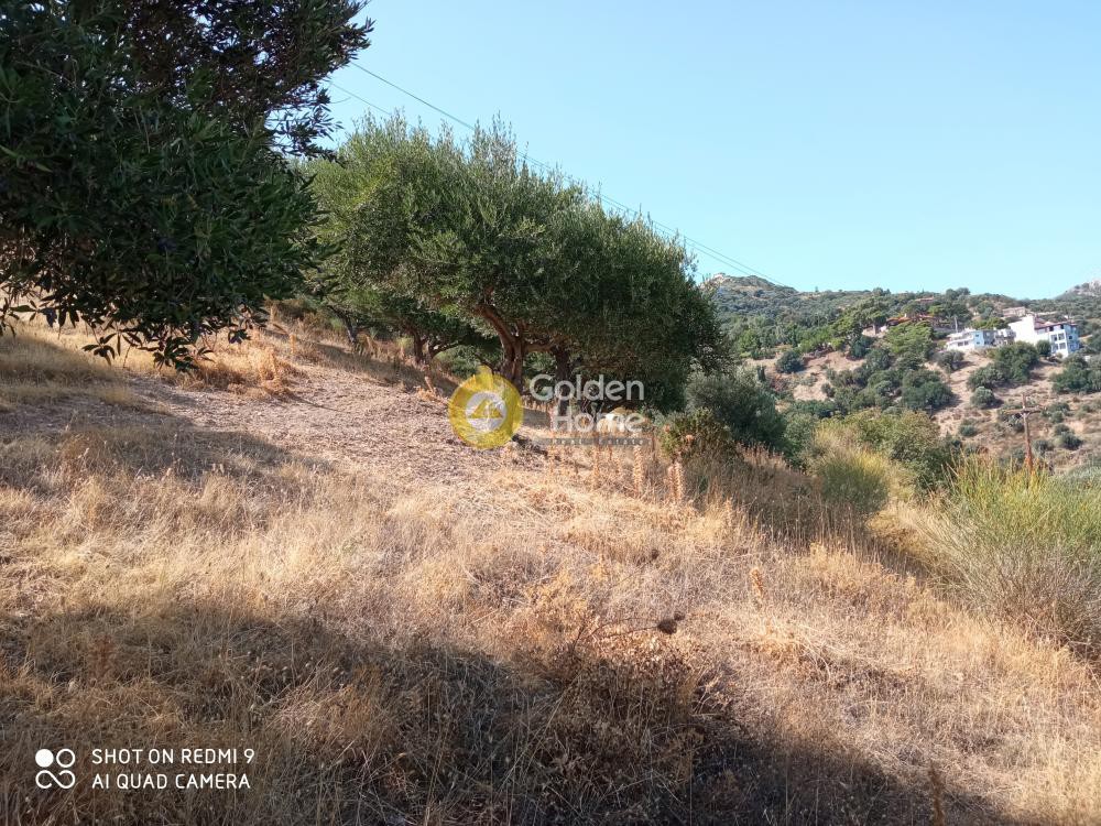 Οικόπεδο 1.973 τ.μ. προς πώληση, Ν. Ηρακλείου, Γάζι