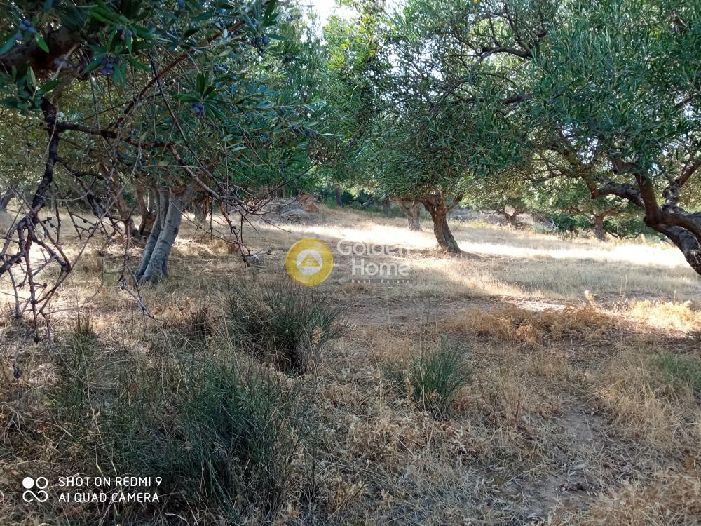 Οικόπεδο 1.973 τ.μ. προς πώληση, Ν. Ηρακλείου, Γάζι
