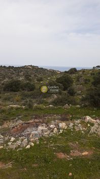 Οικόπεδο 6.000τ.μ. για πώληση-Βραχάσι » Επάνω σίσι