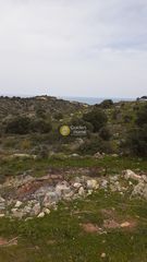 Οικόπεδο 6.000 τ.μ. για πώληση