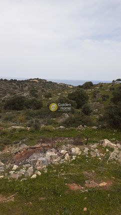 Οικόπεδο 6.000 τ.μ. για πώληση, Ν. Λασιθίου, Βραχάσι