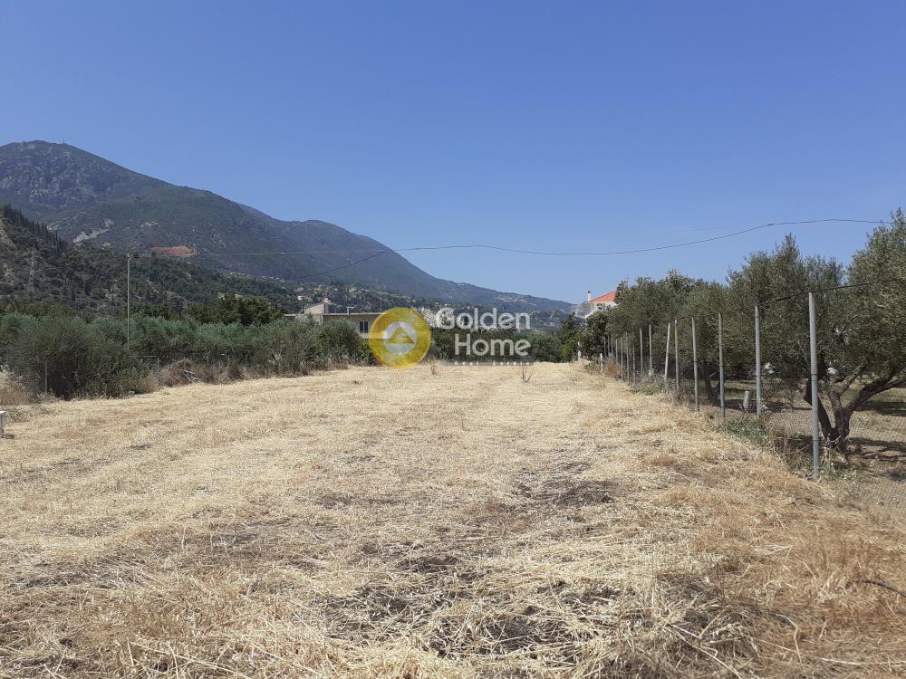 Αγροτεμάχια 2.981 τ.μ. προς πώληση, Κάτω Λουτρό