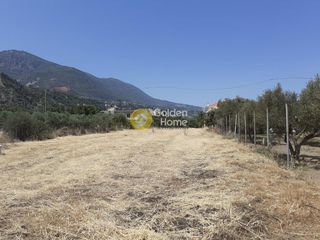 Αγροτεμάχια 2.981 τ.μ. για πώληση